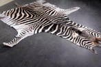 Plains Zebra Skin with Head Gewei - Equus quagga - 330 cm -, Nieuw