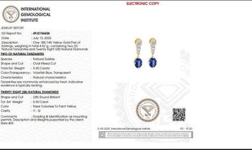 Oorbellen - 14 karaat Geel goud - 5.75ct. tw. Tanzaniet -, Nieuw