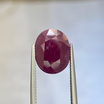 Zonder minimumprijs - 1 pcs Rood Robijn - 8.73 ct - Lotus