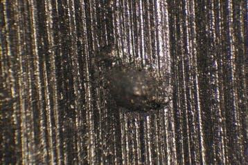 Monocular compound microscope - SM-LUX - 1900-2000 -