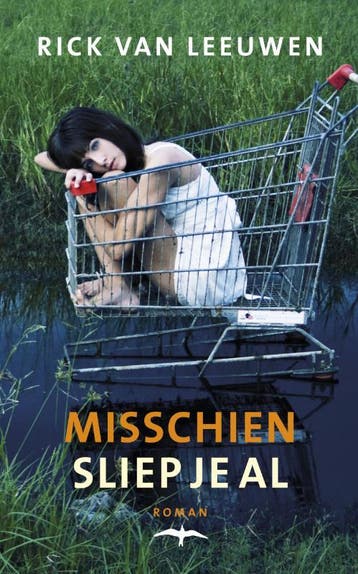 Misschien sliep je al 9789060058930 Rick van Leeuwen, Boeken, Verzenden, Zo goed als nieuw, Rick van Leeuwen