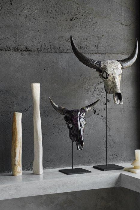 GEEN MINIMUMPRIJS - Indrukwekkende koe schedel met, Antiek en Kunst, Kunst | Designobjecten