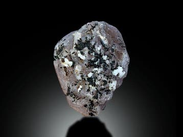 Apatite avec tourmaline noire – Lot de spécimens de cristal, Collections
