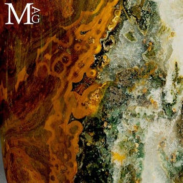 Vivid Orbs Ocean Jasper met rijke mosagaat-inclusies Vrije