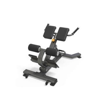 Gymfit - Back/hyper Extension Bench - Luxury Line Plus, Sport en Fitness, Ophalen of Verzenden, Nieuw