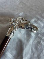 Canne de marche - Bois, Plaqué(e) argent - Cavallo