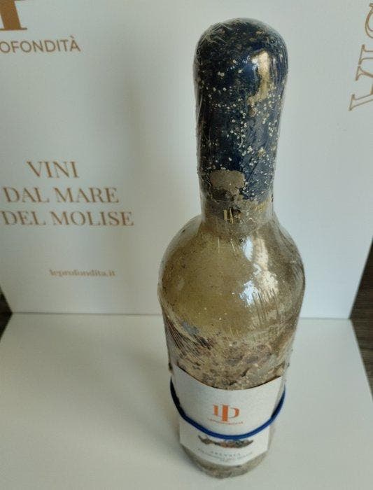 2021 Underwaterwine, Aplysia Falanghina del Molise - Molise, Verzamelen, Wijnen