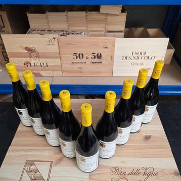 2025 Tenuta San Leonardo, Vette - Trentino IGT - 9 Flessen, Verzamelen, Nieuw