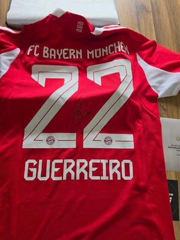 FC Bayern München - Duitse voetbal competitie - Raphael, Nieuw