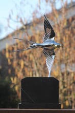 sculptuur, zilverplated bronzen zwaluw - 48 cm - brons