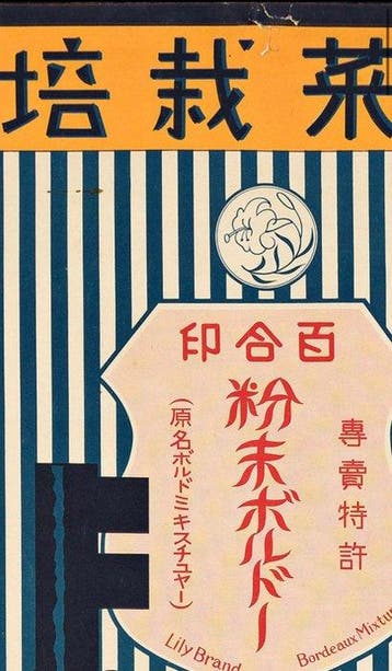 Anonymous - Rare Original Vintage Art Deco Japanese, Antiquités & Art