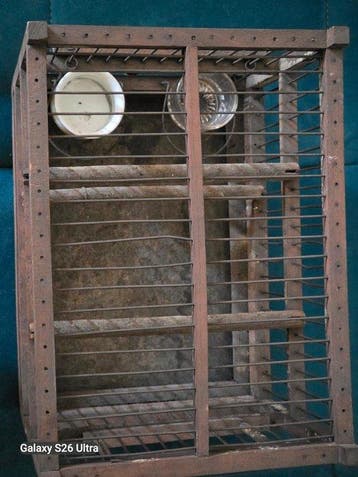 Vintage Vogelkooi - Hout - Vintage vogelkooi met Zu
