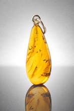 Lichtgevende honingkleurige amberhanger – Eeuwenoude