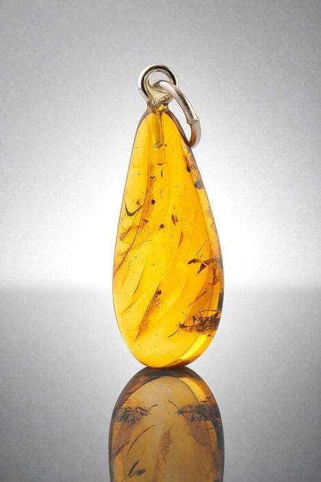 Lichtgevende honingkleurige amberhanger – Eeuwenoude, Antiek en Kunst, Curiosa en Brocante