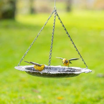 Sculpture dextérieur, Hangende vogeldrinkbak met twee gele