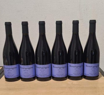 2023 Sylvain Pataille - Bourgogne - 6 Bouteilles (0,75 L), Nieuw