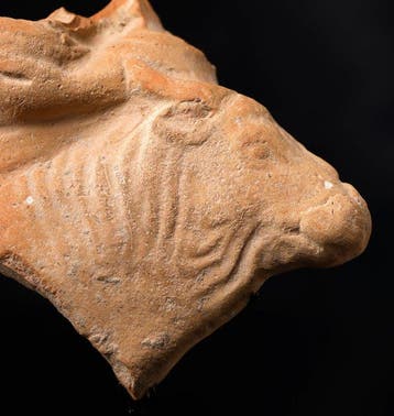 Oud-Griekenland, Terracotta Stier terracotta-fragment - 7 cm, Antiek en Kunst