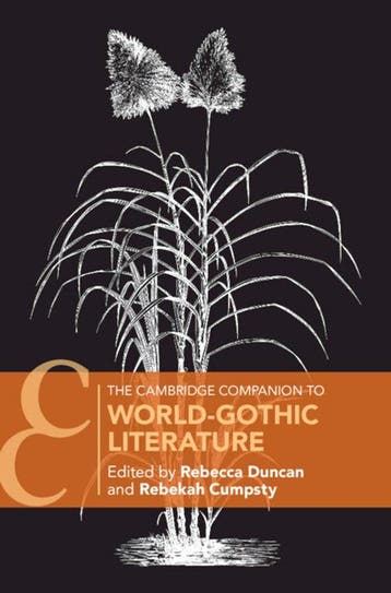 Cambridge Companions to Literature-The Cambridge Companion, Verzenden, Rebecca Duncan
