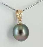 Zonder minimumprijs - Hanger - 18 karaat Geel goud Parel -