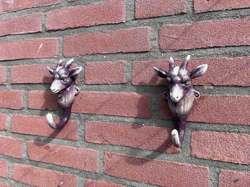 Decoratief ornament (2) - Set van 2 geitenkaphaken