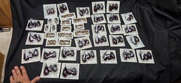 Very big set of dries world dried beetles - for collection -, Nieuw
