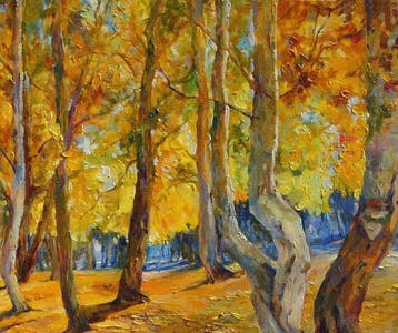 Xiaoyang Galas (XX-XXI) - Admiration of forest