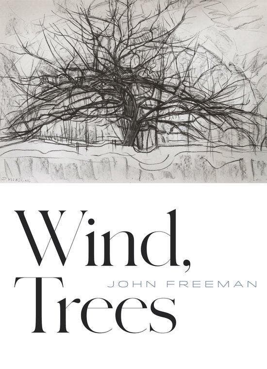 Wind, Trees 9781556596483 John Freeman, Livres, Langue | Anglais, Envoi