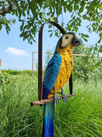 Papegaai op schommel - Figurine - Parrot on Swing - Métal