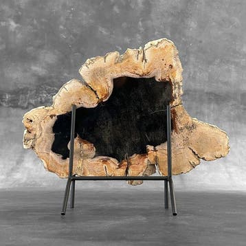 Magnifique tranche de bois pétrifié sur un socle