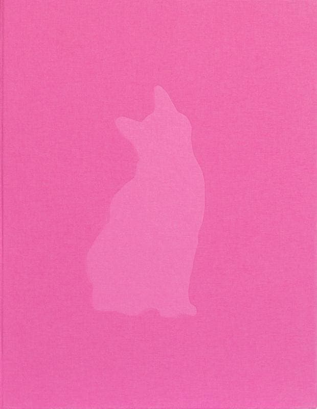 Felis Silvestris Catus | Fleur Huijsdens | Nieuw, Boeken, Overige Boeken, Nieuw, Verzenden
