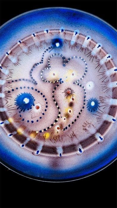 Amp Smit (1903 -1976 ), Plateelbakkerij Zuid-Holland - Bord, Antiquités & Art, Antiquités | Verre & Cristal