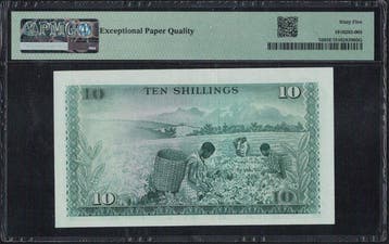 Kenia. - 10 Shillings 1973 - Pick 7d (Zonder minimumprijs)
