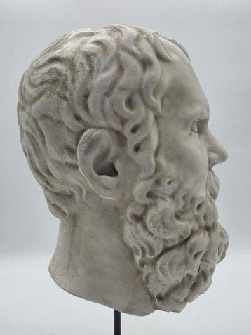 sculptuur, Testa del filosofo Socrate - 39 cm - marmerpoeder
