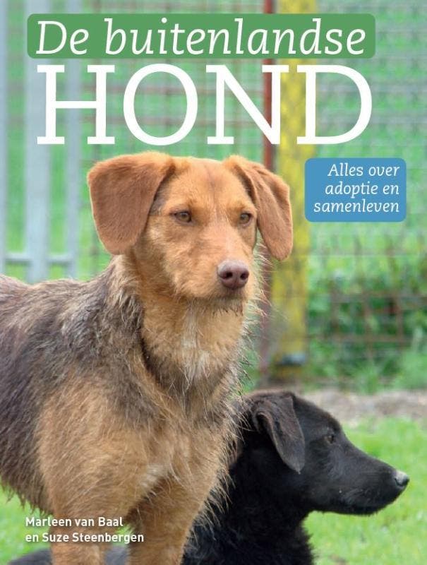 De Buitenlandse Hond | Marleen Baal; Suze Steenbergen, Livres, Livres Autre, Envoi