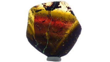 turmalijnplaat - Anjanabonoina, Betafo, Madagascar - Hoogte: