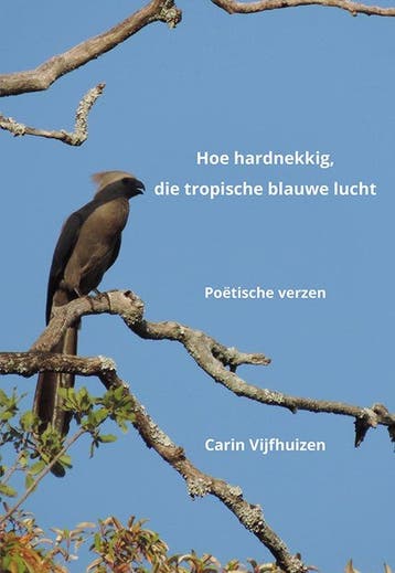 Hoe hardnekkig, die tropische blauwe lucht - Vijfhuizen, Boeken, Verzenden, Nieuw