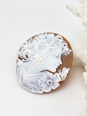 Cassis madagascariensis - Camée - Camée gravé à la main.