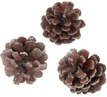 Oostenrijker dennenappel pinus nigra antique zilverwash 6, Nieuw