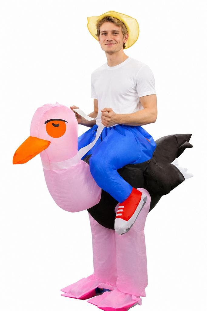 KIMU® Opblaas Kostuum Zittend Op Struisvogel Opblaasbaar Pak, Kleding | Heren, Carnavalskleding en Feestkleding, Nieuw, Ophalen of Verzenden