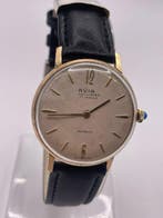 Avia - King - Sans prix de réserve - Homme - 1950-1959, Nieuw