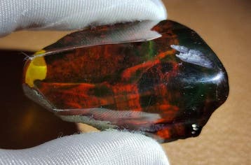 Mexicaanse barnsteen Chiapas!! AAA Geen minimumprijs- 19.32