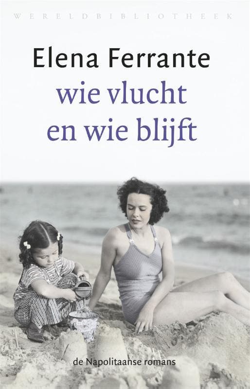 De Napolitaanse romans 3 9789028426672 Elena Ferrante, Boeken, Romans, Gelezen, Verzenden
