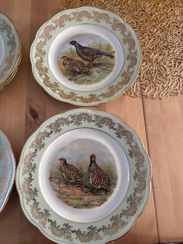 Tafelservies (11) - Porselein