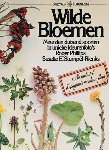 Wilde Bloemen - Phillips, Boeken, Verzenden, Nieuw