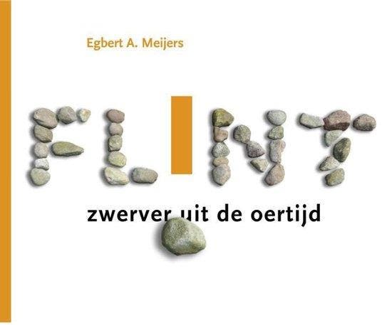 Flint 9789023250197 Egbert A. Meijers, Boeken, Reisgidsen, Zo goed als nieuw, Verzenden