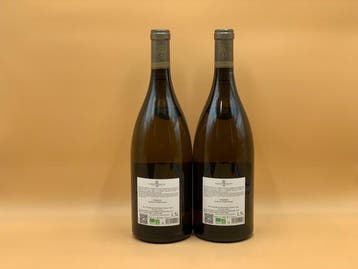 2025 Albert Bichot Chablis Domaine Long-Dépaquit - Chablis -, Collections