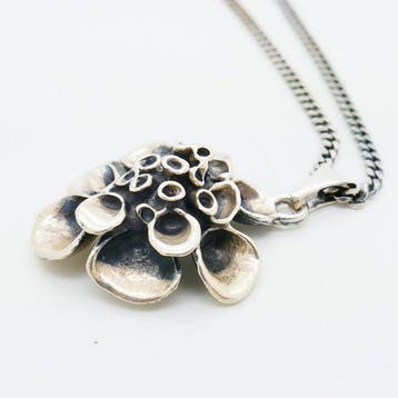 Zonder minimumprijs - Ketting met hanger Zilver - Valon