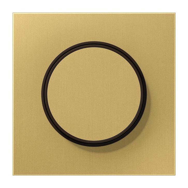 Jung LS Bereik Classic Messing Dimmer Afdekking Plaat -, Bricolage & Construction, Électricité & Câbles, Envoi