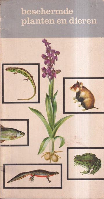 Beschermde planten en dieren - Schimmel, Boeken, Verzenden, Nieuw