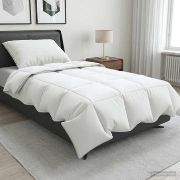 vidaXL 90% Ganzendons Deken Set FULDA 2 st 150 x 200 cm, Verzenden